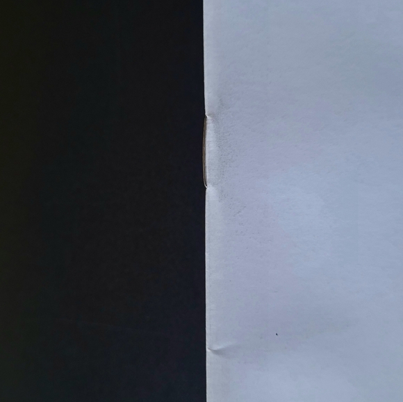 Locust #1 - Picture 4 of 8